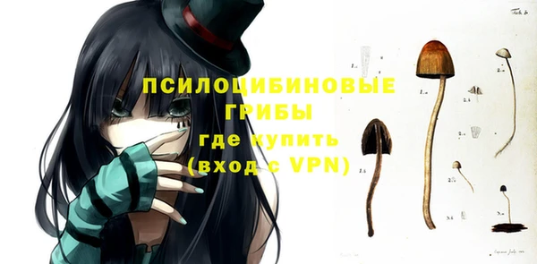 мескалин Лабытнанги