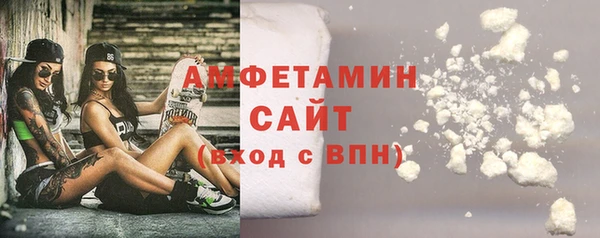 ECSTASY Лагань