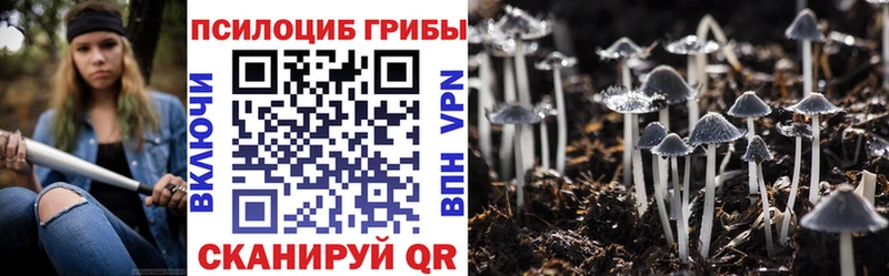 Псилоцибиновые грибы GOLDEN TEACHER  Купить закладки  Копейск 
